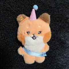 2026年最新】ZERONI テュニニの人気アイテム - メルカリ