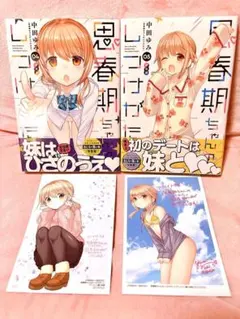 2026年最新】思春期ちゃんのしつけかた 特装版の人気アイテム - メルカリ