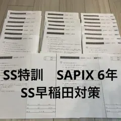 2026年最新】サピックス6年算数の人気アイテム - メルカリ