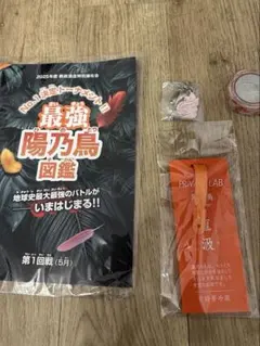 2026年最新】新政 頒布会 ノベルティの人気アイテム - メルカリ