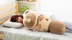 2026年最新】タヌキとキツネ すやすやフレンドの人気アイテム - メルカリ