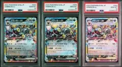 2026年最新】ブラッキー psa10 テラスタルフェスの人気アイテム - メルカリ