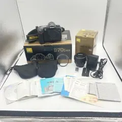 2026年最新】D70s レンズキットの人気アイテム - メルカリ