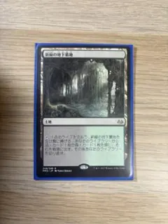 2026年最新】新緑の地下墓地の人気アイテム - メルカリ