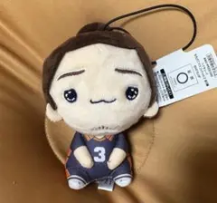 2026年最新】東峰旭 ぬいぐるみの人気アイテム - メルカリ