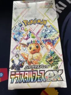 2026年最新】テラスタルフェスex BOXの人気アイテム - メルカリ