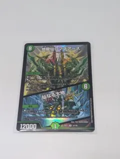 2026年最新】地龍仙ロマネアースの人気アイテム - メルカリ