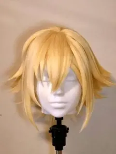 2026年最新】卯月コウ コスプレの人気アイテム - メルカリ