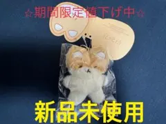 2026年最新】ベッキョン トレギの人気アイテム - メルカリ