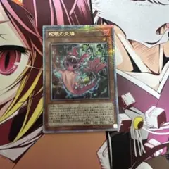 2026年最新】ポプルス 25thの人気アイテム - メルカリ