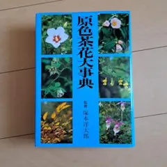2026年最新】茶花大事典の人気アイテム - メルカリ