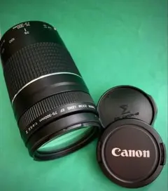 2026年最新】Canon EF75-300mmの人気アイテム - メルカリ