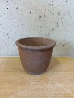 2026年最新】伝市鉢の人気アイテム - メルカリ