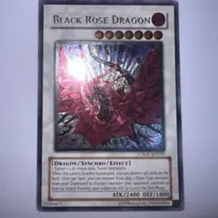 2026年最新】ブラックローズドラゴン レリーフ 英語の人気アイテム