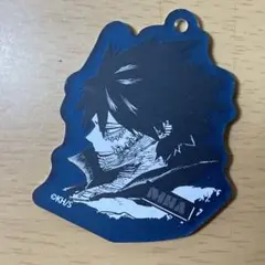 2026年最新】アクリルマットチャームコレクション ヒロアカの人気