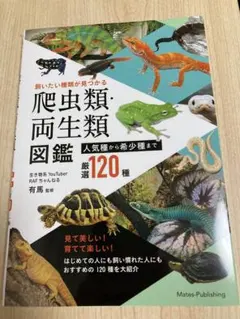 2026年最新】爬虫類 両生類1800種図鑑の人気アイテム - メルカリ