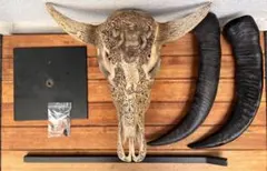 2026年最新】バッファロースカルの人気アイテム - メルカリ