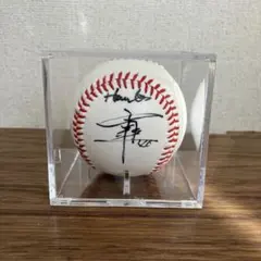 2026年最新】本多雄一 サインの人気アイテム - メルカリ