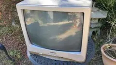 2026年最新】SHARP 20C-GM3の人気アイテム - メルカリ