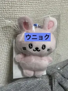 2026年最新】superjunior ウニョク ぬいぐるみの人気アイテム - メルカリ