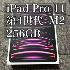 ジャンク・画面割れなし】iPad Pro 11インチ第3世代 Wi-Fiモデル