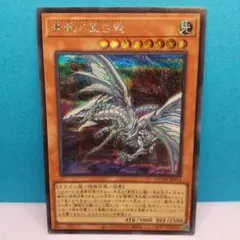 2026年最新】青眼の亜白龍 シークレットの人気アイテム - メルカリ