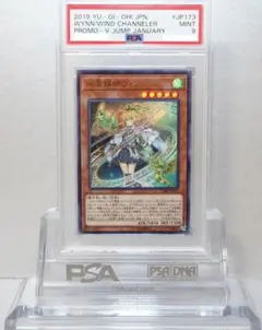 2026年最新】風霊媒師ウィン psa10の人気アイテム - メルカリ