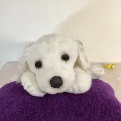 2026年最新】ぬいぐるみ JOCKLINEの人気アイテム - メルカリ