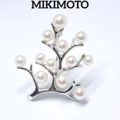 2026年最新】幸福の木 ミキモトの人気アイテム - メルカリ