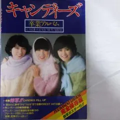 2026年最新】キャンディーズ ポスターの人気アイテム - メルカリ