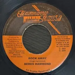 2026年最新】Beres hammond rock awayの人気アイテム - メルカリ