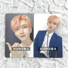 2026年最新】ジョシュア トレカ 舞い落ちる花びらの人気アイテム