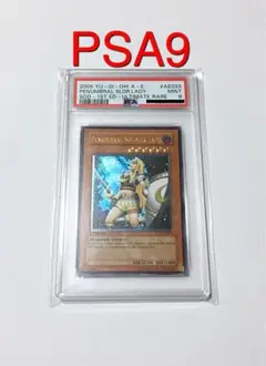 2026年最新】月の女戦士 レリーフ psaの人気アイテム - メルカリ