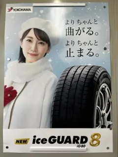 2026年最新】iceGUARD 8 IG80の人気アイテム - メルカリ