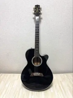 2026年最新】takamine npt-110の人気アイテム - メルカリ