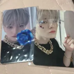 2026年最新】ナイトガーデン ラキドロの人気アイテム - メルカリ