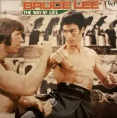 2026年最新】ブルース・リー レコードの人気アイテム - メルカリ