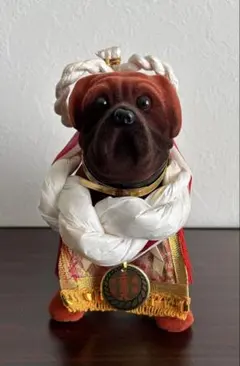 2026年最新】土佐闘犬の人気アイテム - メルカリ