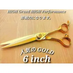 2026年最新】nbaa シザーの人気アイテム - メルカリ