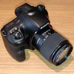 2026年最新】α65 レンズの人気アイテム - メルカリ