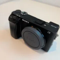 2026年最新】α6400 バッテリー 純正の人気アイテム - メルカリ