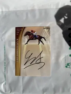 2026年最新】ホースレーシング サインの人気アイテム - メルカリ