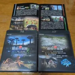 2026年最新】ホットスポット dvdの人気アイテム - メルカリ