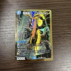 2026年最新】5000VT 金枠の人気アイテム - メルカリ