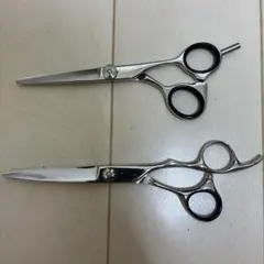 2026年最新】ミズタニシザー セニングの人気アイテム - メルカリ