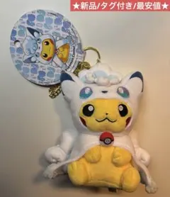2026年最新】ポンチョを着たピカチュウ ぬいぐるみの人気アイテム