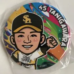 2026年最新】谷川原 若鷹ガチャの人気アイテム - メルカリ