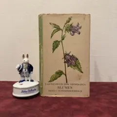 2026年最新】植物図鑑 洋書の人気アイテム - メルカリ