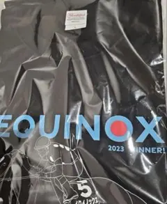 未使用 JRAオリジナルグッズ 有馬記念 皿 記念プレート - メルカリ