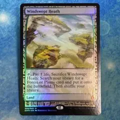 2026年最新】吹きさらしの荒野 FOILの人気アイテム - メルカリ